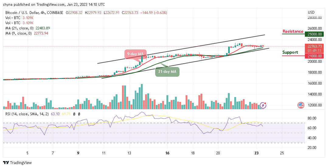 Bitcoin Price Prediction for Today, January 23: BTC/USD Range-bounds; A Recovery to $24k Resistance?