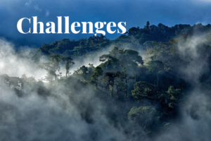 Ecuador's deforestation challenges: balancing economic development and environmental protection