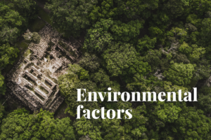The decline of the Maya civilisation: How environmental factors played a role in their collapse
