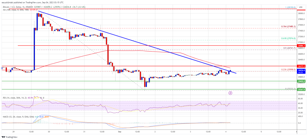 Bitcoin Price Recovery Could Soon Fade If BTC Fails To Surpass 100 SMA