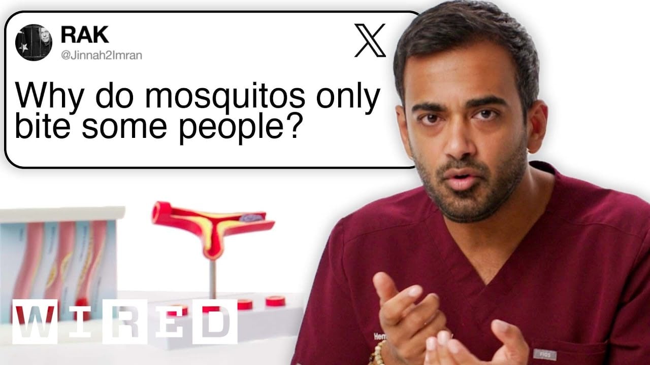 Why do mosquitos only bite some people?