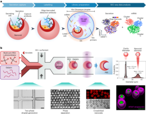 Associating growth factor secretions and transcriptomes of single cells in nanovials using SEC-seq - Nature Nanotechnology